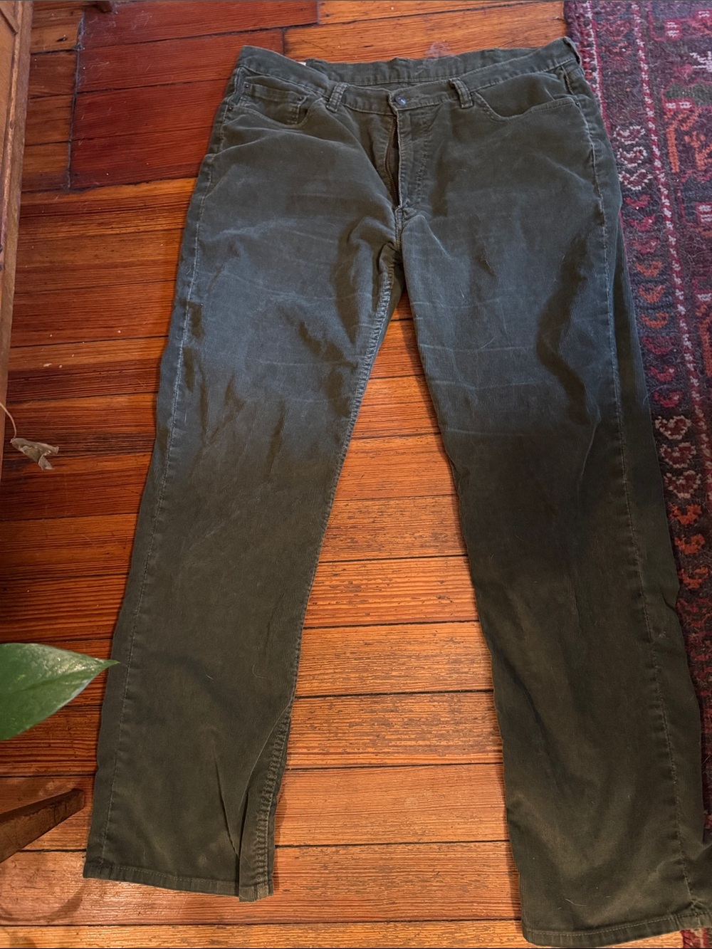 Levi's Men's Corduroy Pants in Olive Green